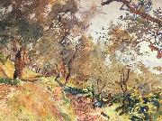 John Singer Sargent Trees on the Hillside at Majorca oil painting